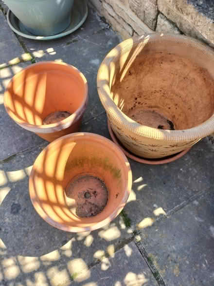 Photo of free 3 lovely Terracotta Plant Pots (Hilsea Portsmouth PO2) #1