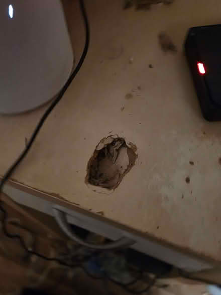 Photo of free Computer desk/bookshelf (Hillmorton CV21) #2