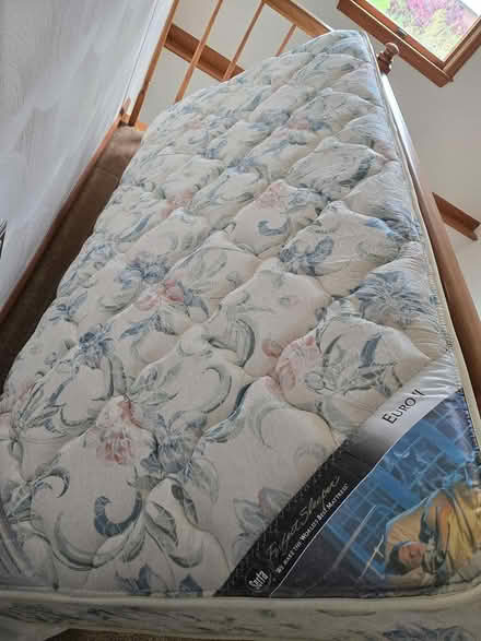 Photo of free Twin sized Mattress and box springs (Harrison City, Pa) #3