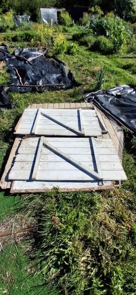 Photo of free Small shed for allotment (Carshalton, SM5) #4