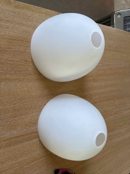 Photo of free Glass lamp shades x 2 (Lewes Nevill area) #1