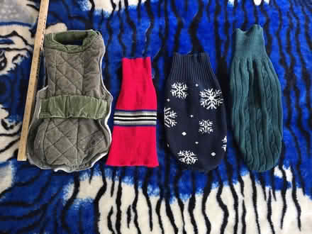 Photo of free Pet Clothing (West 7th) #1