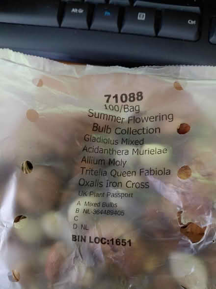 Photo of free 100 flowering summer bulbs (Rowner PO13) #1