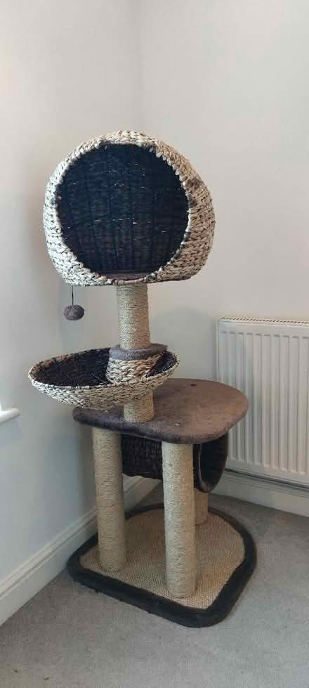 Photo of free Cats tower (The Moor LA1) #1