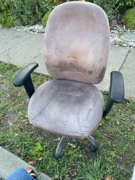 Photo of free Conference chair (On Barrett Ave (Tuller/Brooks)) #1