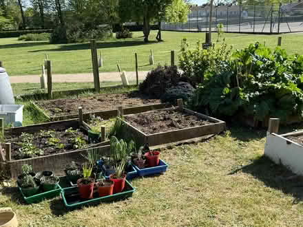 Photo of Vegetable seedlings (Aston SG2) #1