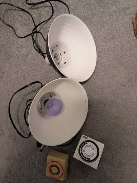 Photo of free Items for a pet gecko house (Unionville) #2