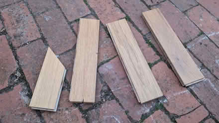 Photo of free Oak engineered flooring offcuts (Offham BN7) #1