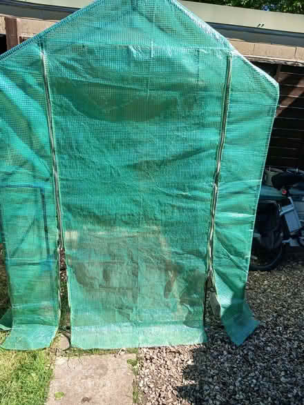 Photo of free 6x6 green house (Moorfields BA2) #3