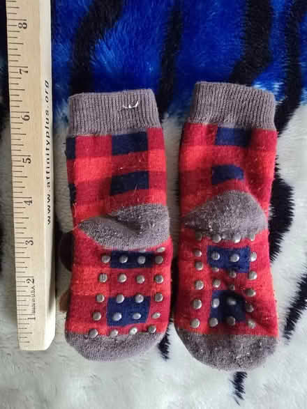 Photo of free Moose Slipper Socks (West 7th) #2