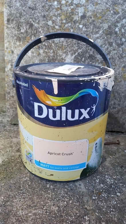 Photo of free Dlulux Paint (Ballingdon, Sudbury) #1