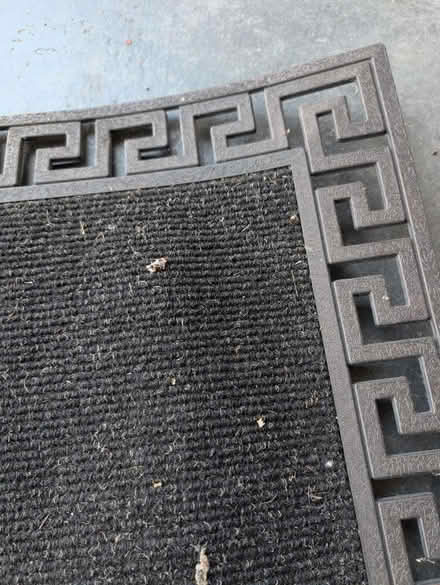 Photo of free Doormat (El Cerrito) #4