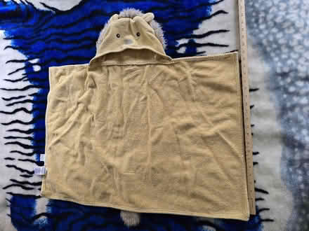 Photo of free Lion Bath Wrap (West 7th) #1