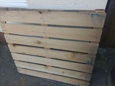Photo of free Wood pallet (CM9 4QN) #1