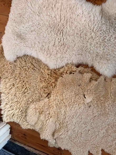 Photo of free Sheepskin x3 (Dean Court OX2) #1