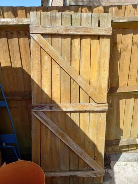 Photo of free Gate or shed door (Downhead Park MK15) #1