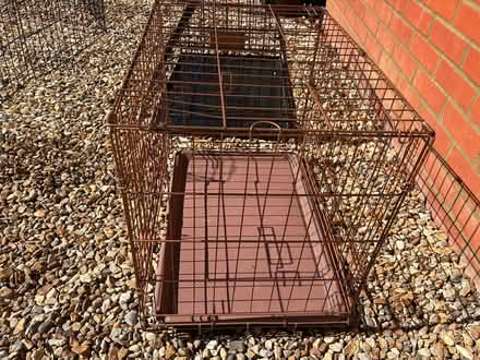 Photo of free Dog cage (Hindhead GU26) #2