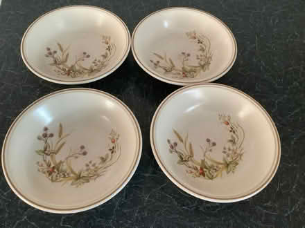 Photo of free Plates & bowls (St Ives PE27) #2