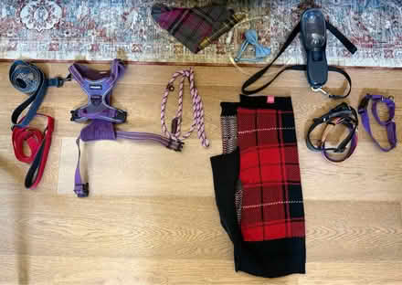 Photo of free Mix of dog accessories (West Menlo Park) #1