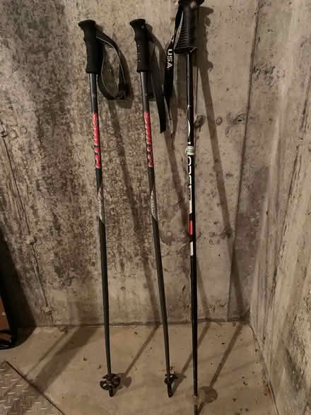 Photo of free Ski Poles (Bolton, MA) #1