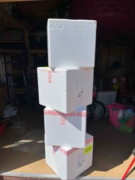 Photo of free 5 Uline Insulated Foam Chests (Central/east Phoenix) #1