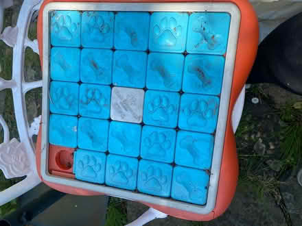 Photo of free Dog brain training game #2 (Heath and Reach LU7) #1