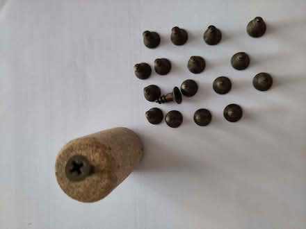 Photo of free 18 short, stubby cross-head screws (Henleaze Ward BS9) #1