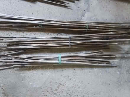 Photo of free Garden Canes (Penrith CA11) #1