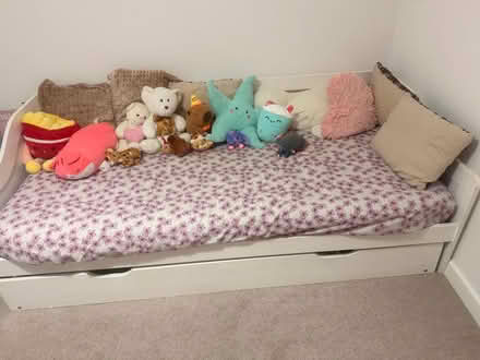 Photo of free Day bed (Tunbridge Wells S. TN2) #1