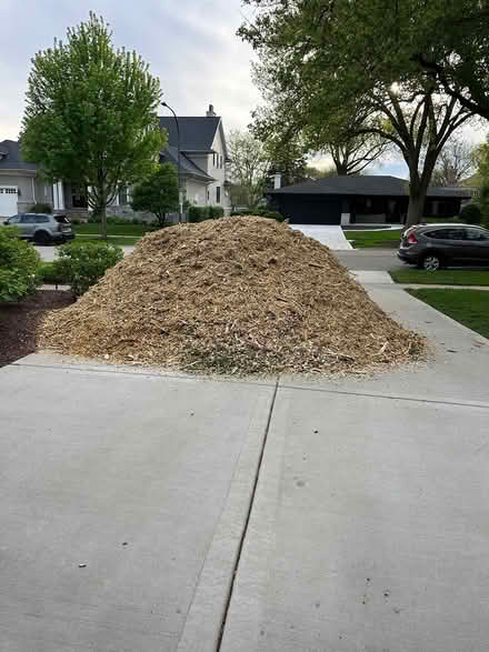 Photo of free Mulch (North Naperville) #1