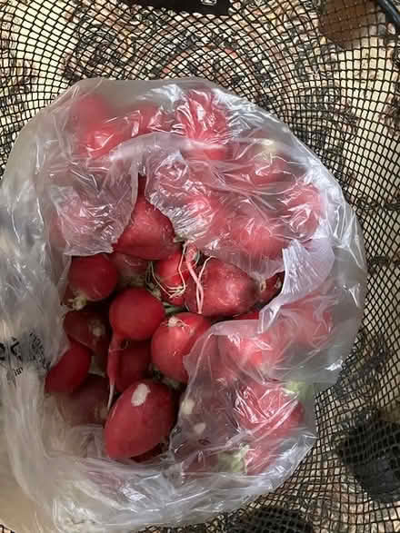 Photo of free foodstuff -- veggs (south sunnyvale) #4