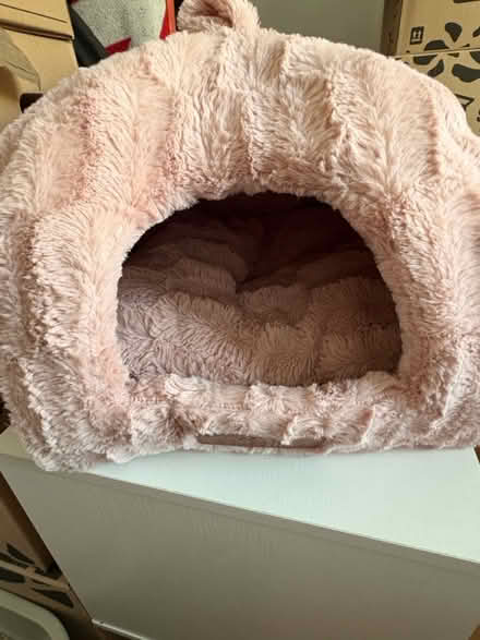 Photo of free Cozy cat house (Walthamstow) #1