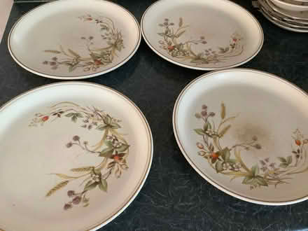 Photo of free Plates & bowls (St Ives PE27) #4
