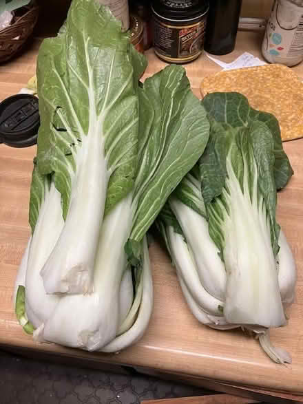 Photo of free foodstuff -- veggs (south sunnyvale) #3