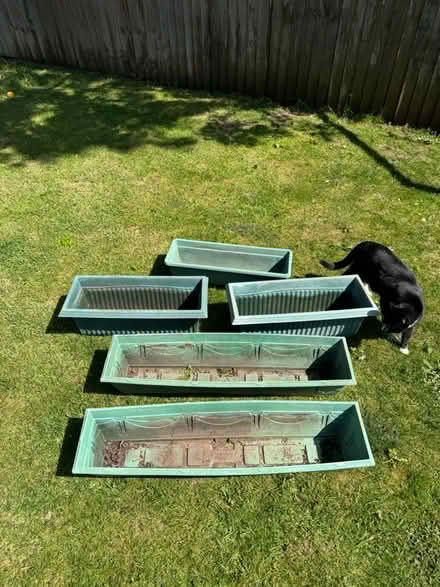 Photo of free Five flower/tomato tray pots (Amersham HP6) #1