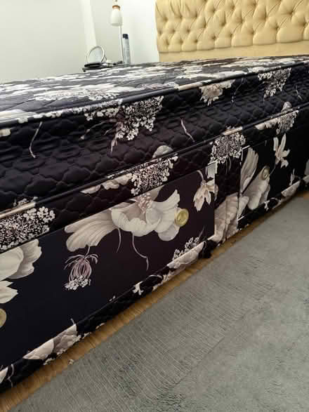 Photo of free Double bed (South Lambeth SW8) #3