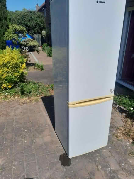 Photo of free Hoover Fridge Freezer (Ringmer BN8) #1