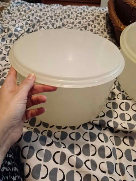 Photo of free Cake container (CT2) #1