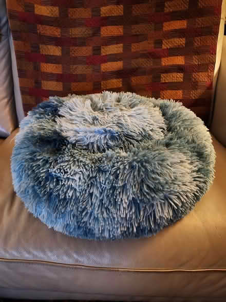 Photo of free Cat bed (Richmond) #1