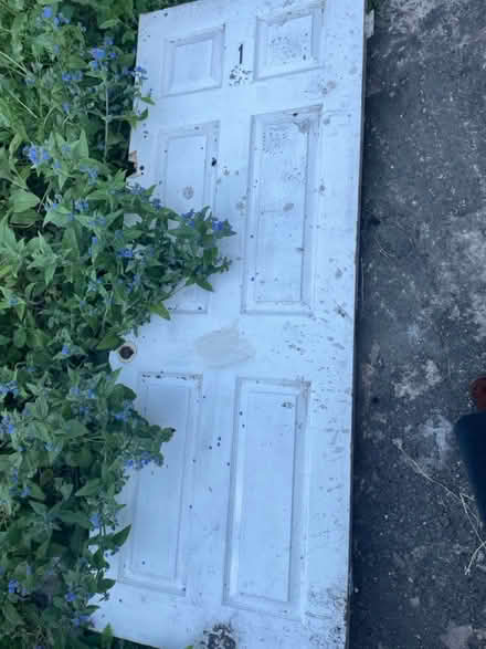 Photo of free Old White Wooden Door (CR0) #2