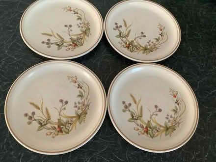 Photo of free Plates & bowls (St Ives PE27) #3
