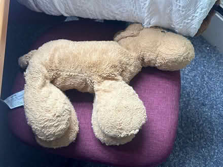 Photo of free Toy dog (EH9 Meadows) #2