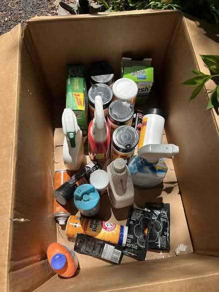 Photo of free household: cleaning, pest, weed (Lansdowne PA) #1