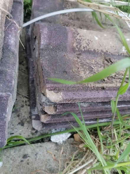 Photo of free Roof Tiles (CT1) #3