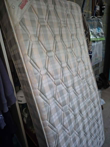 Photo of free Single Mattress (Liverton Coldeast TQ12) #3