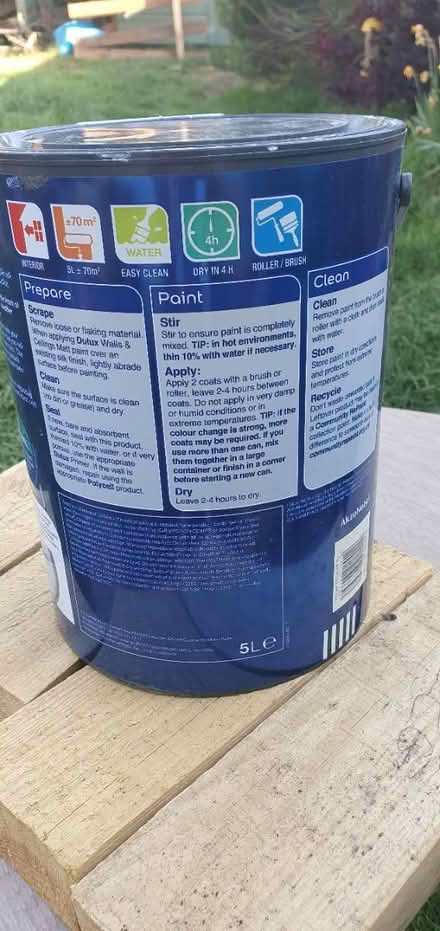 Photo of free paint (South Norwood) #2