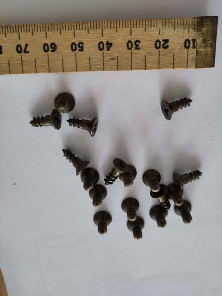 Photo of free 18 short, stubby cross-head screws (Henleaze Ward BS9) #4