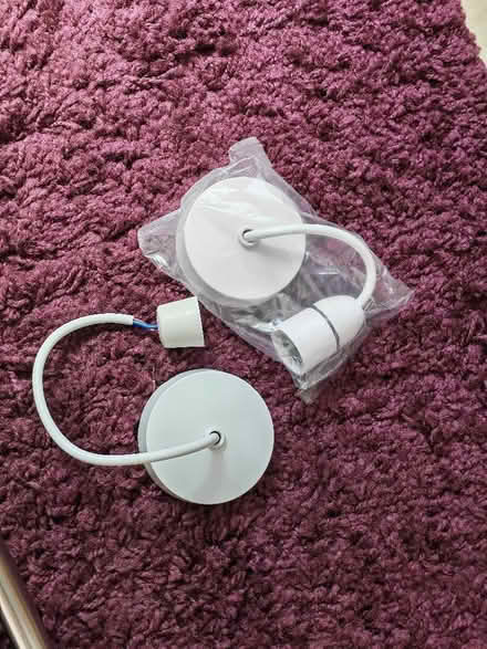Photo of free Two Ceiling Rose/Light Pendants (Dairy Lane Estate DH4) #1