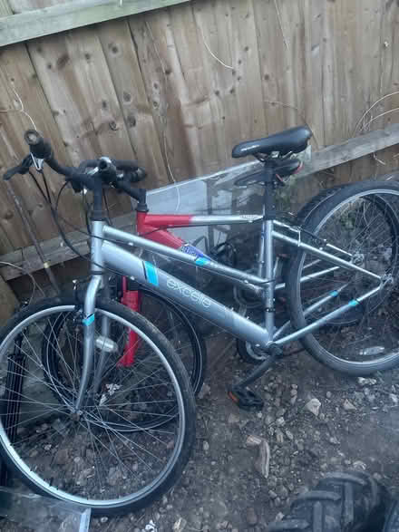 Photo of free Bikes (Colchester) #1