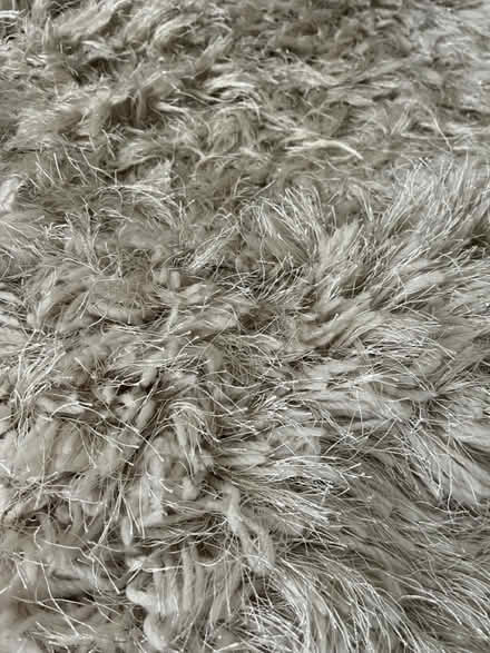 Photo of free Large long pile rug. 2m x 2.9 m (Fulwell Sunderland SR6) #2